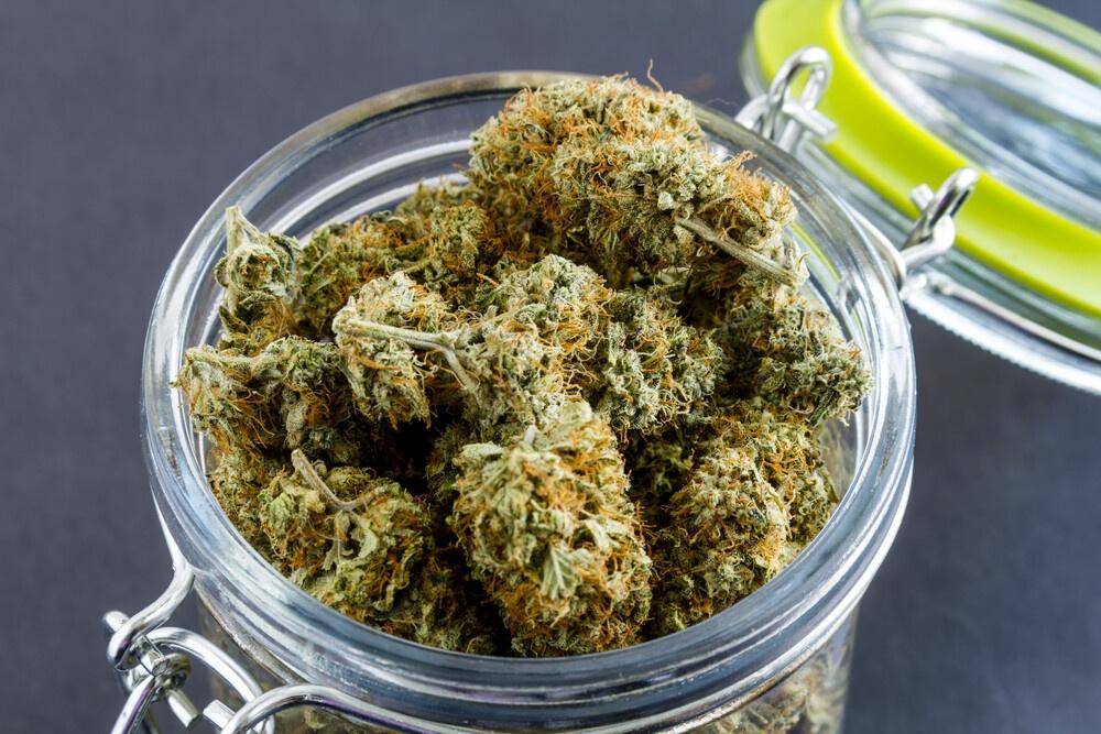 cannabis is storage jar