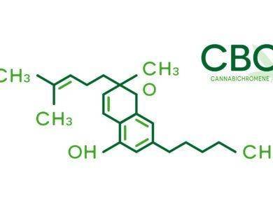 cbc the third cannabinoid