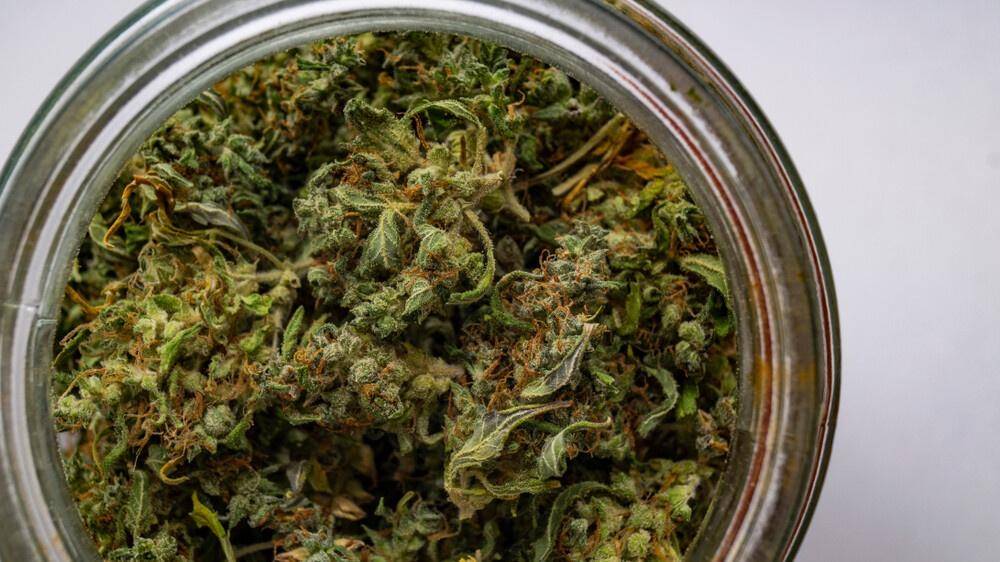 store cannabis